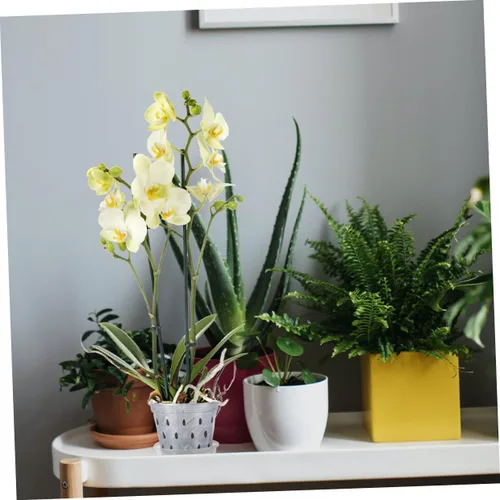 Vista 4 de Orchid Pots 2 Sets with Saucers, Plastic Root Control Planters