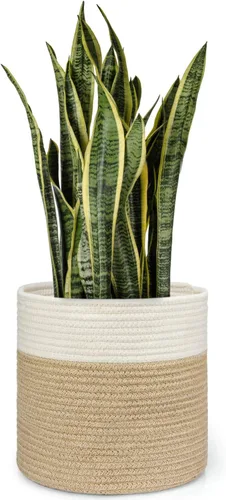 Vista 11 de Dahey - Cesta tejida pequeña de cuerda de algodón para plantas, cesta enrollada para macetas de hasta 7 pulgadas, cesta decorativa para cubrir