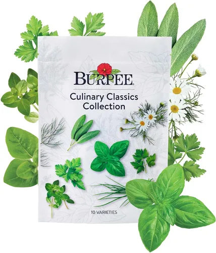 Vista 10 de Colección Burpee Best 10 Paquetes de Mezcla Fresca Sin OGM de Pimiento Picante y Variedades Dulces Jalapeño, Semillas de Pimiento Morrón y Más