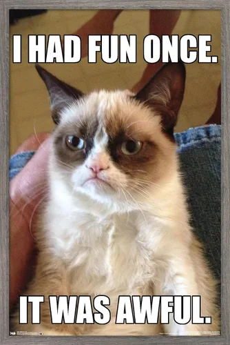 Vista 10 de Trends International Grumpy Cat - Póster de pared divertido, 22.375 x 34 pulgadas, versión enmarcada plateada Versión con marco plateado