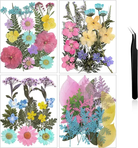 Vista 16 de Nuanchu Flores secas prensadas negras para manualidades, flores secas góticas, flores silvestres prensadas naturales a granel con pinzas para molde
