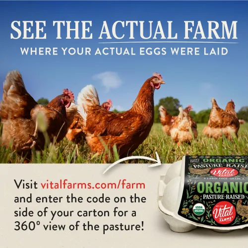 Vista 9 de Docena de huevos orgánicos Vital Farms. Huevos grandes, marrones con certificado