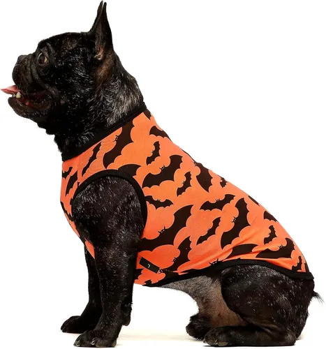 Vista 8 de Fitwarm Camiseta patriótica para perro con estrella para el 4 de julio, Día de los Caídos, Día de la Independencia, ropa de vacaciones para perros