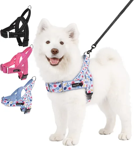 Vista 11 de KOOLTAIL Arnés sin tirones para perro pequeño, con acolchado suave y asa, arnés de chaleco para cachorro fácil de caminar, cuello y pecho