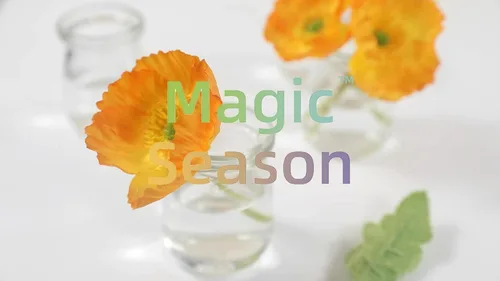 Vista 5 de Magic Season Botellas de vidrio decorativas con tapones de corcho (3.3 fl oz. botellas de pudín / 12 piezas)