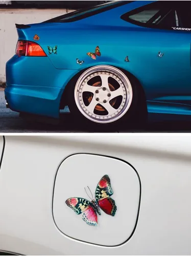 Vista 2 de Calcomanías de vinilo de mariposa para automóvil, diseño de mariposas e insectos, impermeables, para parachoques, automóviles, motocicletas, cascos