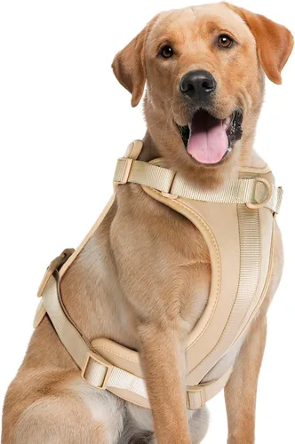 Vista 31 de Wisedog Arnés Ligero Sin Tirones para Perro: Arnés de Chaleco de Malla Transpirable Ajustable para Mascotas con Cojín Suave y Cómodo, para Perros