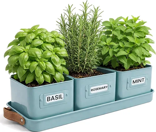 Vista 8 de volila - Juego de 3 macetas para hierbas de interior, color negro, con bandeja con asa de cuero - Estante de plantas para alféizar de ventana