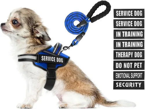 Vista 32 de Juego de Chaleco y Correa para Perro de Servicio, Arnés de Entrenamiento Animire para Perro con 10 Parches para Perros, Correa Reflectante