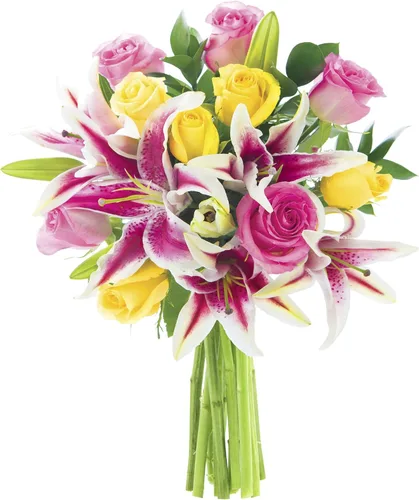 Vista 8 de KaBloom - Ramo de belleza abundante de margaritas blancas frescas con jarrón - Flores frescas para cumpleaños, San Valentín y Día de la Madre