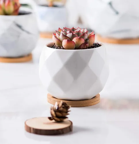 Vista 9 de Jucoan Paquete de 6 macetas de cerámica para suculentas con bandeja de bambú, 4 pulgadas, pequeñas flores de cactus blanco en forma de diamante