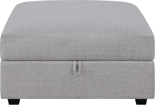 Vista 5 de Scott Living Coaster Charlotte - Otomana de almacenamiento, color gris