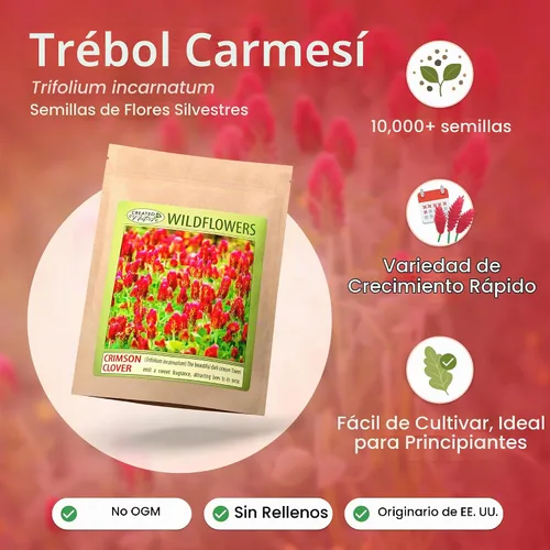 Vista 2 de Semillas de trébol carmesí para plantar, 10,000 semillas, cubre 200 pies