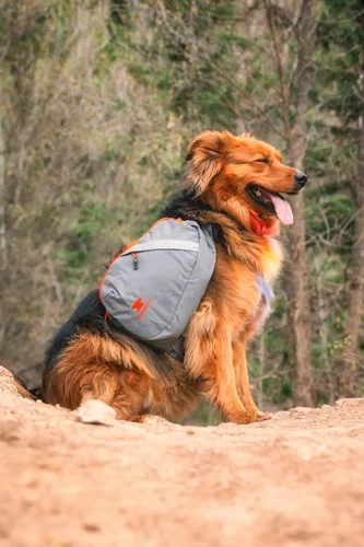 Vista 5 de Mountainsmith K-9 mochila para perro