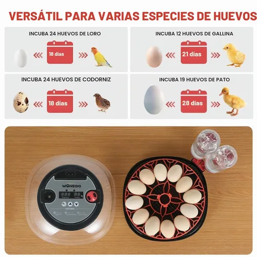 Vista 6 de Gen II - Incubadora automática de 12 huevos, humedad de dos etapas con recarga automática y control de temperatura estable, giro automático