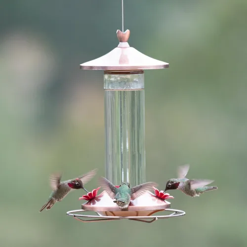 Vista 6 de Perky-Pet - Comedero elegante para colibríes de vidrio de cobre, 12 onzas