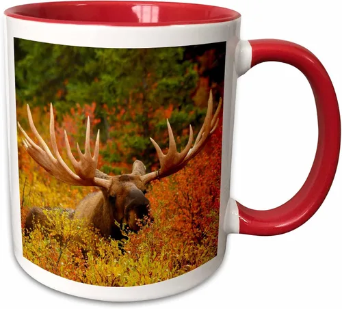 Vista 9 de 3dRose 142049_4 - Taza, 11 onzas, color negro