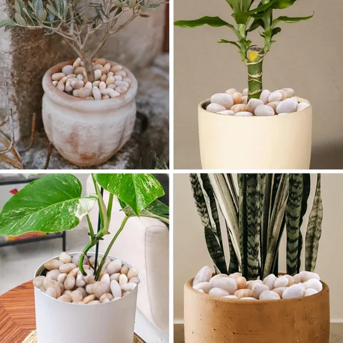 Vista 3 de Roca de río blanco crema de 20 libras, guijarros decorativos para plantas, rocas de río para paisajismo al aire libre, piedras pulidas de 0.3 a 0.8