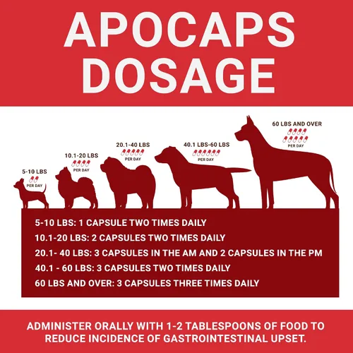 Vista 4 de apocaps CX apoptogen Fórmula para perros (90 Cápsulas), paquete de de 1