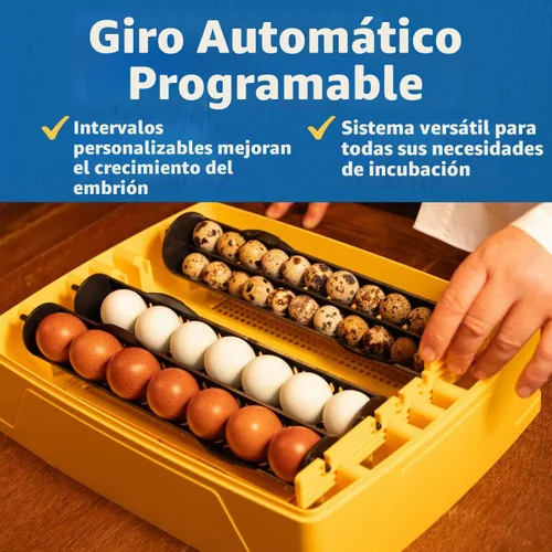 Vista 7 de Brinsea Ovation 28 EX - Incubadora de huevos, control de humedad y libro educativo