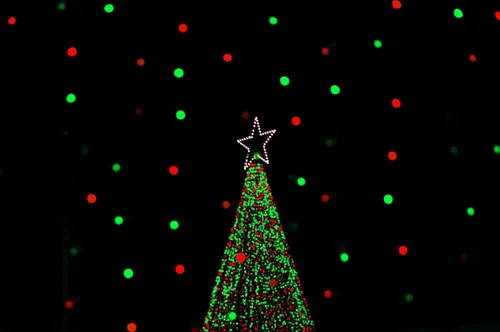 Vista 5 de Tira de luces de Navidad de 300 luces LED enchufables, 32 pies, para exteriores, impermeable, con control remoto, 10 modos de luces en racimo