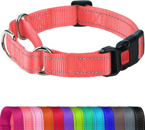 Vista 12 de Joytale Collar Martingale para perros, reflectante resistente para mayor seguridad, hebilla de liberación rápida, collares de nailon ajustables