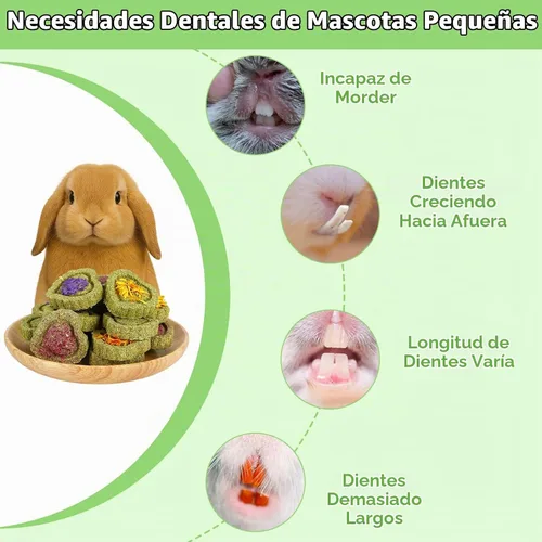 Vista 3 de Timothy Heno, 40 unidades de juguetes de conejo para aburrimiento, hechos a mano, conejillo de indias, masticables de chinchilla para dientes