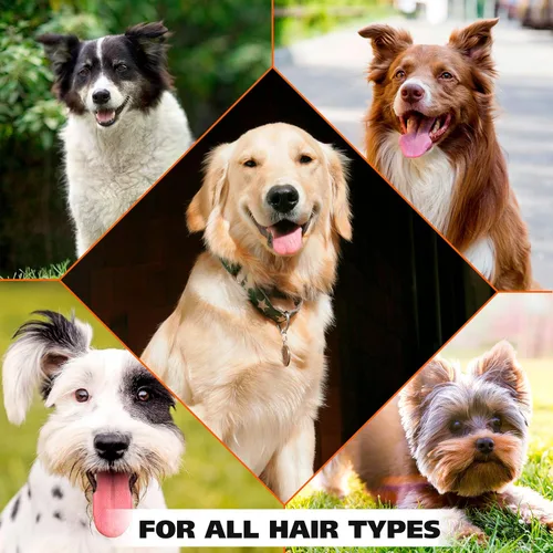 Vista 6 de Wahl USA Desodorante en Spray para Mascotas con Aroma a Aciano para Todos los Perros y Gatos – Olor Fresco y Limpio Refresca y Desodoriza – 8 oz