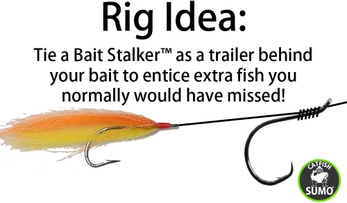 Vista 4 de Cebo Stalkers: Stinger vuela para atrapar bagre extra, añadir a cualquier plataforma de pesca de gato, paquete de 5