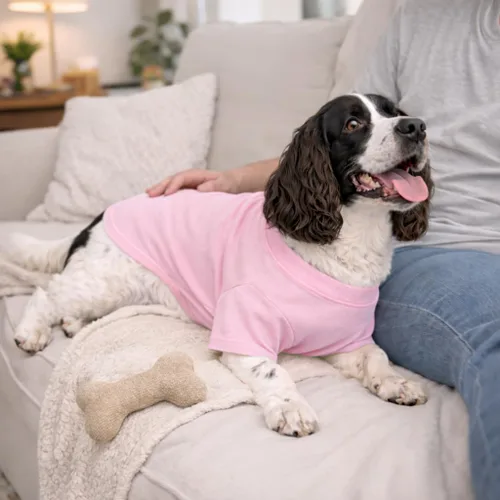 Vista 157 de Lovelonglong 2019 - Ropa para mascotas, Disfraces para Perro, Ropa Camisetas en blanco para Perros Grande Medianos Pequeños 100% Algodón 18