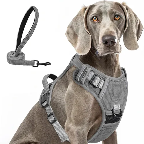 Vista 30 de BEAUTYZOO Arnés para perro sin tirones pequeño, juego de arnés y correa ajustable para perro - Fácil de usar con 3 hebillas/mango de control, arnés