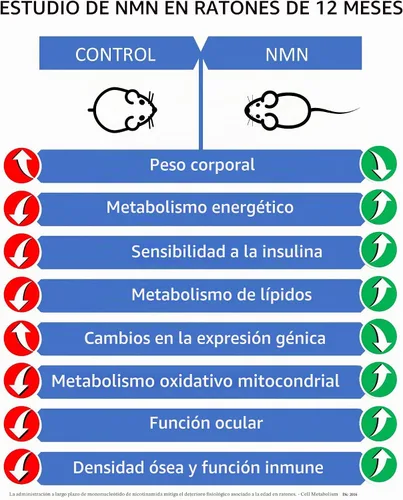 Vista 3 de MAAC10 NMN 125mg 99% puro suplemento de grado farmacéutico, paquete de 3