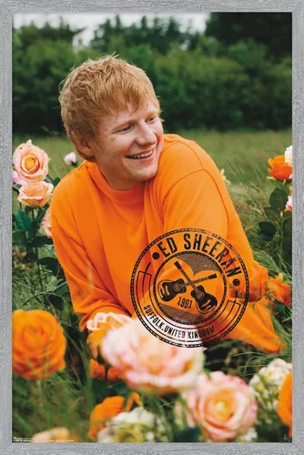 Vista 15 de Trends International Ed Sheeran - Póster de pared de campo de rosas, 22.37 x 34.00 pulgadas, versión enmarcada de madera de granero