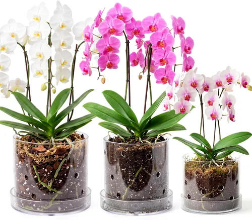 Vista 7 de Maceta de orquídea acrílica transparente de 4 pulgadas con agujeros redondos de 360° y bandeja