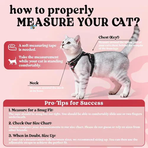 Vista 2 de rabbitgoo Cat Harness and Leash Set, Escape Proof Vest, XXS, Berry Pounce Soft Breathable Mesh, No-choke Adjustable Fit, Snap Buckles, Sturdy