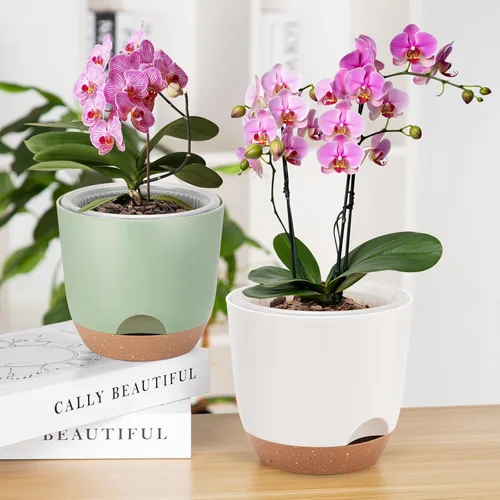 Vista 4 de Macetas de orquídeas de riego automático para plantas de interior, macetas para orqudeas de 5.8 pulgadas, macetas para plantas de interior con Blanco