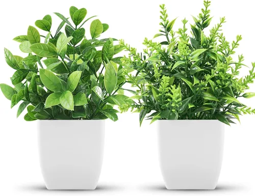 Vista 9 de Der Rose Paquete de 2 plantas falsas negras pequeñas para decoración de Negro