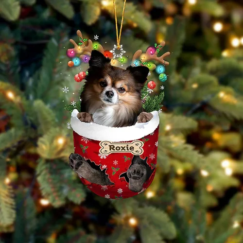 Vista 217 de LOVELYPOD Adorno Personalizado de Perro Affenpinscher, Adornos de Navidad Affenpinscher Regalo para Amante de Perros, Adorno de Navidad Colgante