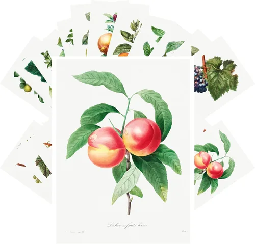 Vista 19 de PIXILUV Johann - Postales vintage (24 unidades), diseño de flores salvajes, jardín, aun vida, arte de pintura de museo antiguo, reimpresión