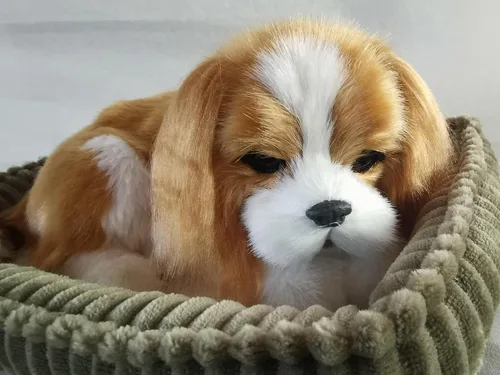 Vista 5 de Cavalier King Charles Dog, realista y realista juguete interactivo para mascotas, cachorro compañero con piel sintética 100% hecha a mano