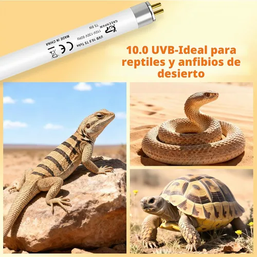 Vista 9 de Bombilla T5 10.0 UVB para reptiles, 8W HO UVB Bombilla de reptil, 2 paquetes de 12 pulgadas UVA UVB Tubo de lámpara fluorescente para dragón barbudo
