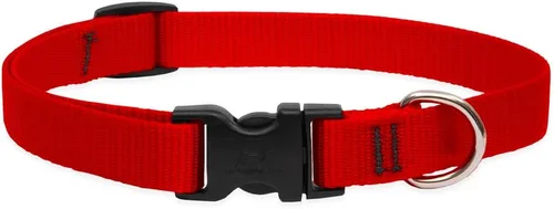 Vista 8 de Collar para perros, ajustable para perros pequeños a grandes. 3/4 de pulgada. De LupinePet, Azul