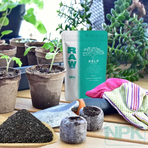 Vista 4 de RAW Kelp Marine - Fertilizante de refuerzo del crecimiento de plantas soluble en agua para el desarrollo de raíces y el crecimiento de plantas, 2