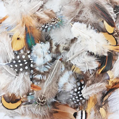 Vista 3 de 200 plumas naturales de 10 estilos surtidos de plumas para atrapasueños y manualidades (10 estilos - 200 piezas)