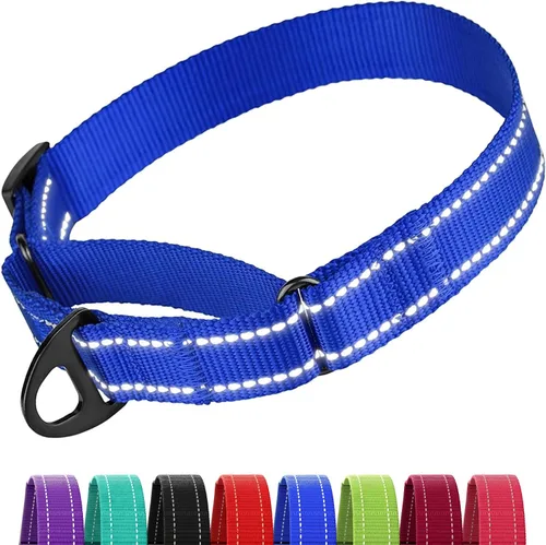 Vista 8 de CollarDirect Martingale - Collar de nailon resistente para perros pequeños, medianos y grandes [nailon, estampado, aguamarina, L, 15-20 pulgadas)