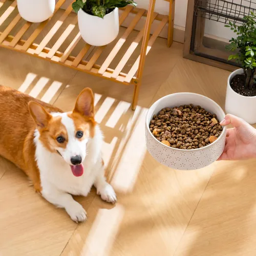 Vista 7 de MALACASA - Cuenco de comida de cerámica para perros, plato de agua para razas medianas, 4 tazas