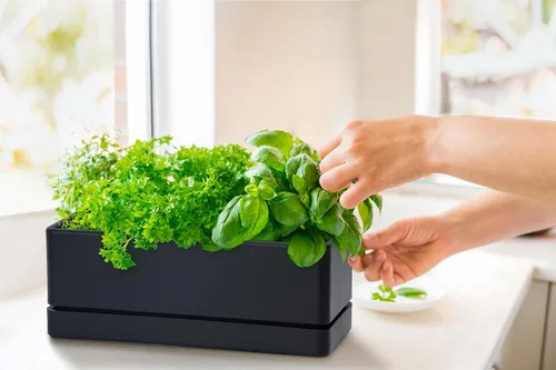 Vista 7 de D'vine Dev - Maceta para ventana de 12 pulgadas, maceta rectangular de plástico para hierbas con agujeros de drenaje y plato, maceta de suculentas