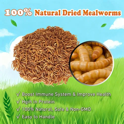 Vista 2 de Amzey Gusanos secos de harina de 2 libras, gusanos de comida 100% naturales para pollo y pájaros, alimento orgánico para gallinas ponedoras, alto