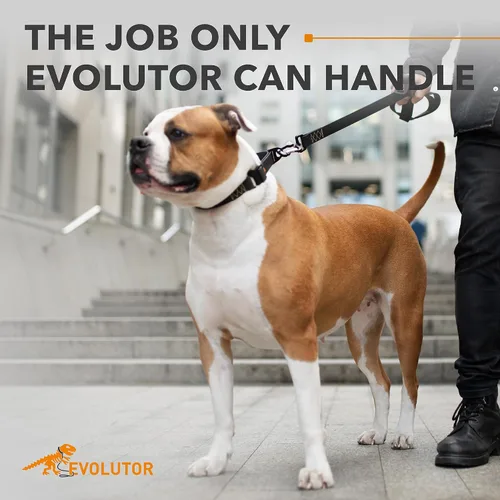 Vista 2 de COLLAR Evolutor - Correa para perro extra resistente de 4 pies, duradera para perros grandes, medianos y pequeños, fuerte para razas grandes, Negro