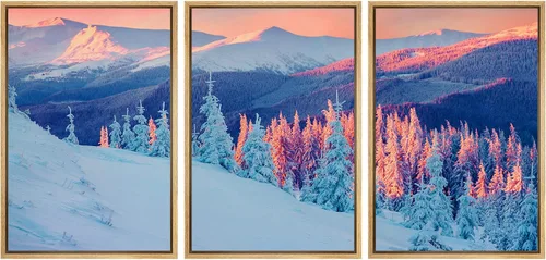 Vista 25 de wall26 Lienzo enmarcado para pared, juego de arte de selva, rana, hoja de palmera, naturaleza, desierto, arte moderno, realismo, decorativo